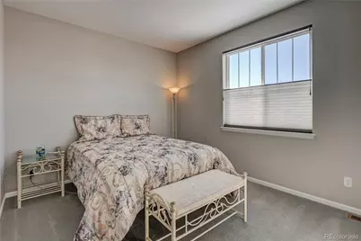 6602 Mentha Drive, Castle Rock, CO 80108 - Photo 25