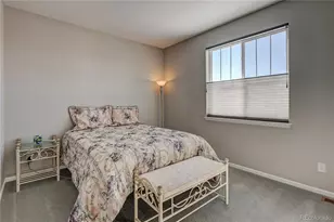 6602 Mentha Dr, Castle Rock, CO 80108 - Photo 25