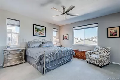 6602 Mentha Drive, Castle Rock, CO 80108 - Photo 19