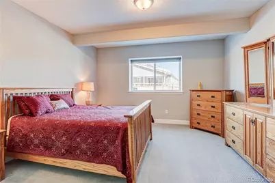 6602 Mentha Drive, Castle Rock, CO 80108 - Photo 37