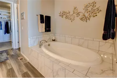 6602 Mentha Drive, Castle Rock, CO 80108 - Photo 21