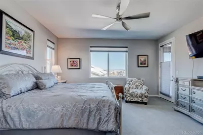 6602 Mentha Drive, Castle Rock, CO 80108 - Photo 19