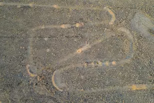 14575 Watkins Rd, Brighton, CO 80603 - Photo 49