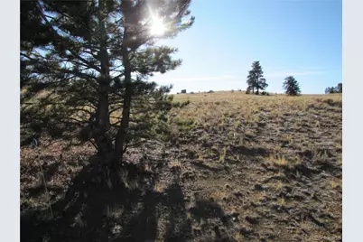 2767 Fitzsimmons Road, Hartsel, CO 80449 - Photo 27