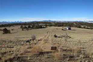 2767 Fitzsimmons Rd, Hartsel, CO 80449 - Photo 1