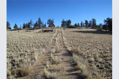 2767 Fitzsimmons Road, Hartsel, CO 80449 - Photo 25