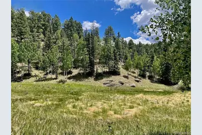 458 Arrowhead Road, Florissant, CO 80816 - Photo 3