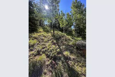 458 Arrowhead Road, Florissant, CO 80816 - Photo 7