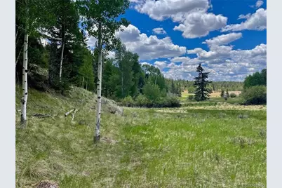 458 Arrowhead Road, Florissant, CO 80816 - Photo 1