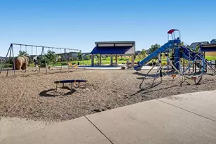 1610 Exquisite St, Castle Rock, CO 80109 - Photo 39