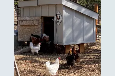 16165 Burt Gulch Road, Buena Vista, CO 81211 - Photo 39