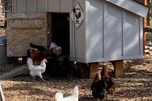 16165 Burt Gulch Rd, Buena Vista, CO 81211 - Photo 39