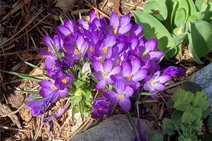 16165 Burt Gulch Rd, Buena Vista, CO 81211 - Photo 41