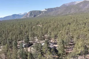 16165 Burt Gulch Rd, Buena Vista, CO 81211 - Photo 43