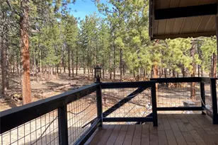 16165 Burt Gulch Rd, Buena Vista, CO 81211 - Photo 7