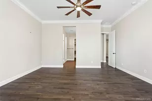 4099 River Oaks St, Castle Rock, CO 80104 - Photo 19