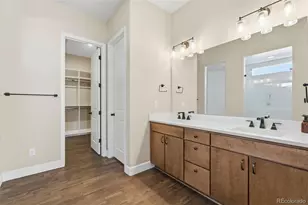 4099 River Oaks St, Castle Rock, CO 80104 - Photo 21