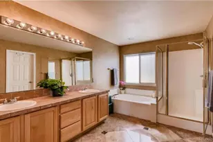 9836 Chatswood Trail, Highlands Ranch, CO 80126 - Photo 27