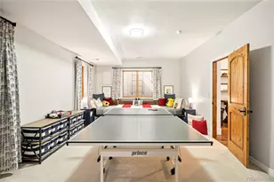 270 Glencoe St, Denver, CO 80220 - Photo 47