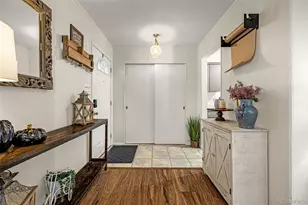 3625 Anemone, Colorado Springs, CO 80918 - Photo 5