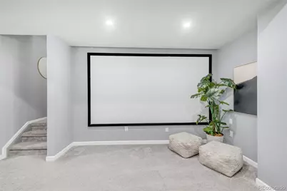 5925 Alton Street, Denver, CO 80238 - Photo 23