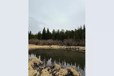 91 Lake Road, Idaho Springs, CO 80452 - Photo 1