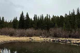 91 Lake Rd, Idaho Springs, CO 80452 - Photo 1