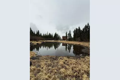 91 Lake Road, Idaho Springs, CO 80452 - Photo 3