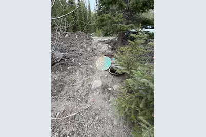 91 Lake Road, Idaho Springs, CO 80452 - Photo 7