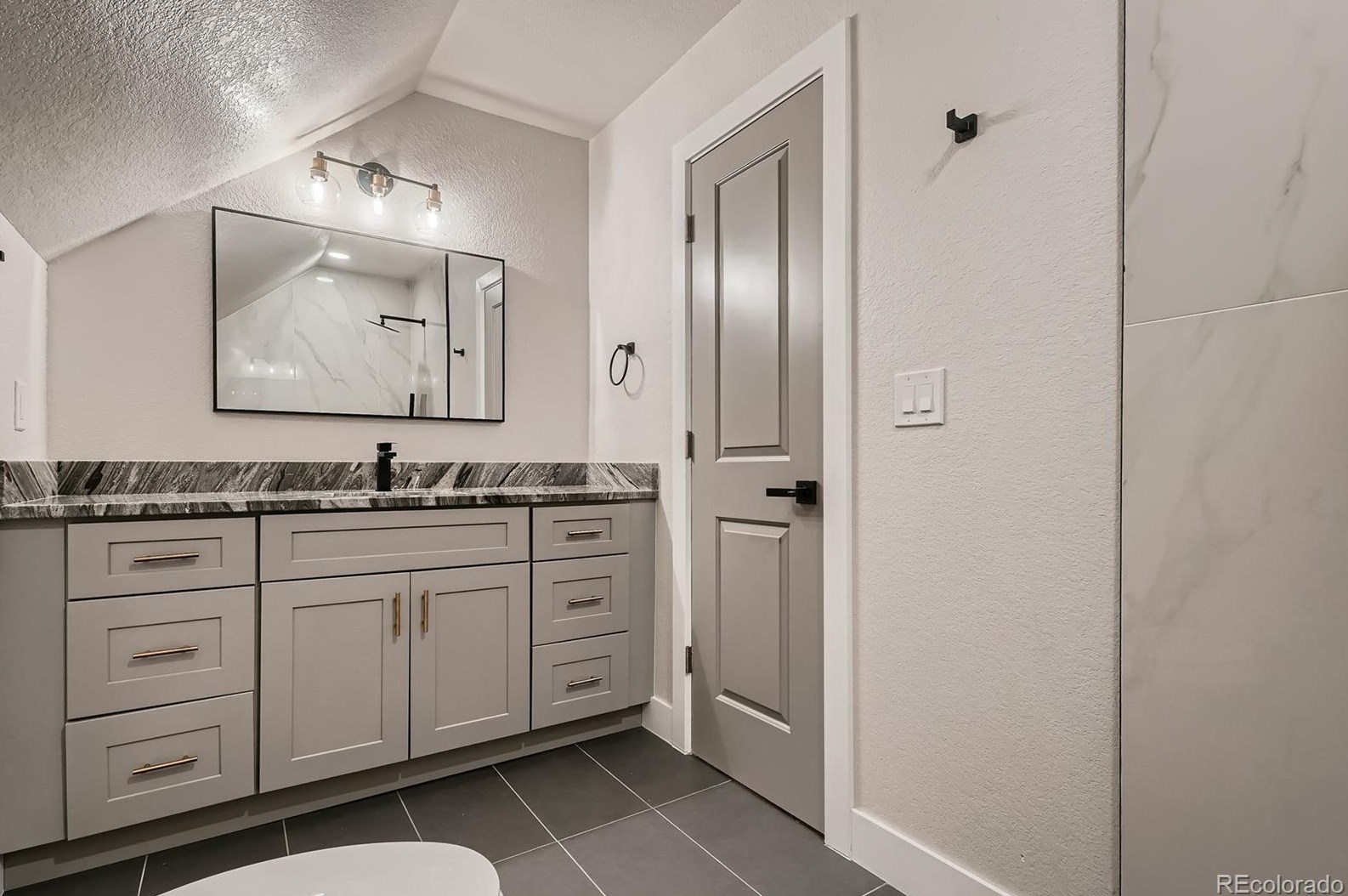 424 Galapago St, Denver CO  80204-5031 exterior