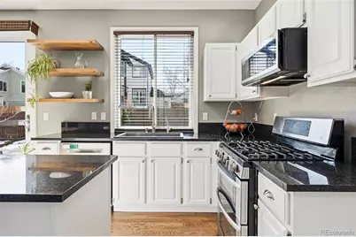 10619 Winterflower Way, Parker, CO 80134 - Photo 5