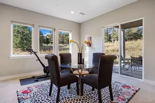 5186 Copper Blush Ct, Castle Rock, CO 80108 - Photo 33