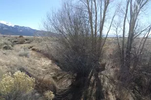 530 Camino Del Rey, Crestone, CO 81131 - Photo 1