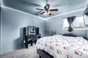 11668 Lincoln St, Northglenn, CO 80233 - Photo 13