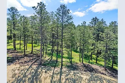14531 Quartz Creek Drive, Colorado Springs, CO 80908 - Photo 9