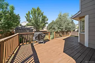 3700 Black Feather Trail, Castle Rock, CO 80104 - Photo 33