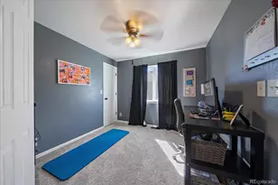 3700 Black Feather Trail, Castle Rock, CO 80104 - Photo 27