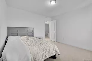 903 Crestone St, Johnstown, CO 80534 - Photo 21