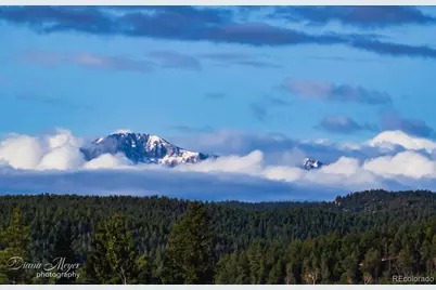 13035 Deer Ridge Way, Larkspur, CO 80118 - Photo 27