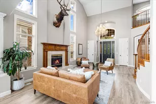 10069 Longview Dr, Lone Tree, CO 80124 - Photo 7