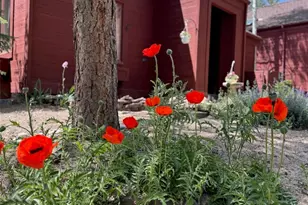 23666 Genesee Village Rd, Golden, CO 80401 - Photo 33