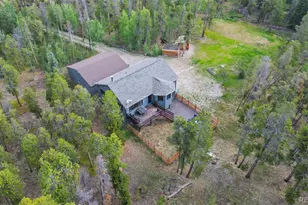 1110 Circle 73, Fairplay, CO 80440 - Photo 43