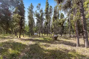 1110 Circle 73, Fairplay, CO 80440 - Photo 35