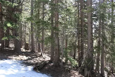 00 Miners Mesa Road, Black Hawk, CO 80422 - Photo 5