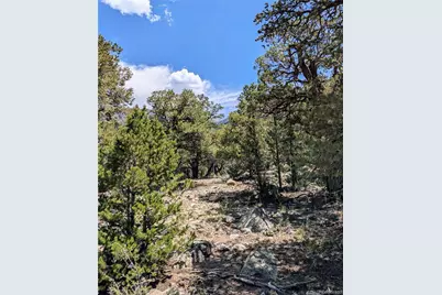 1799 Lone Pine Way, Crestone, CO 81131 - Photo 5