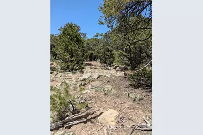 1799 Lone Pine Way, Crestone, CO 81131 - Photo 11