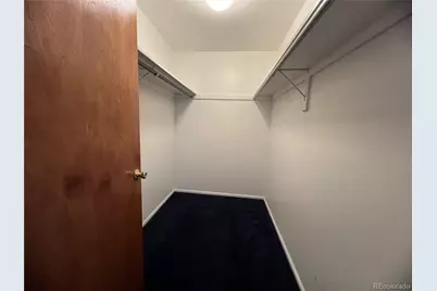 52 Deer Trail Drive, Bailey, CO 80421 - Photo 25