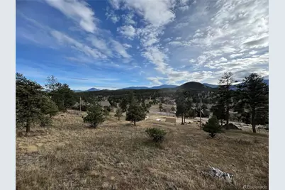 52 Deer Trail Drive, Bailey, CO 80421 - Photo 27