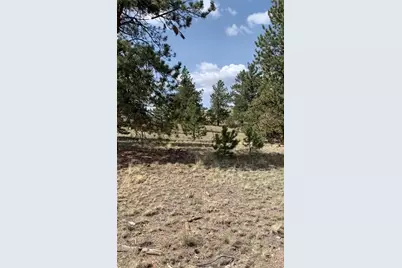 52 Bit Way, Hartsel, CO 80449 - Photo 3