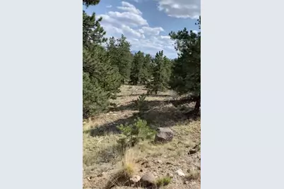 52 Bit Way, Hartsel, CO 80449 - Photo 1